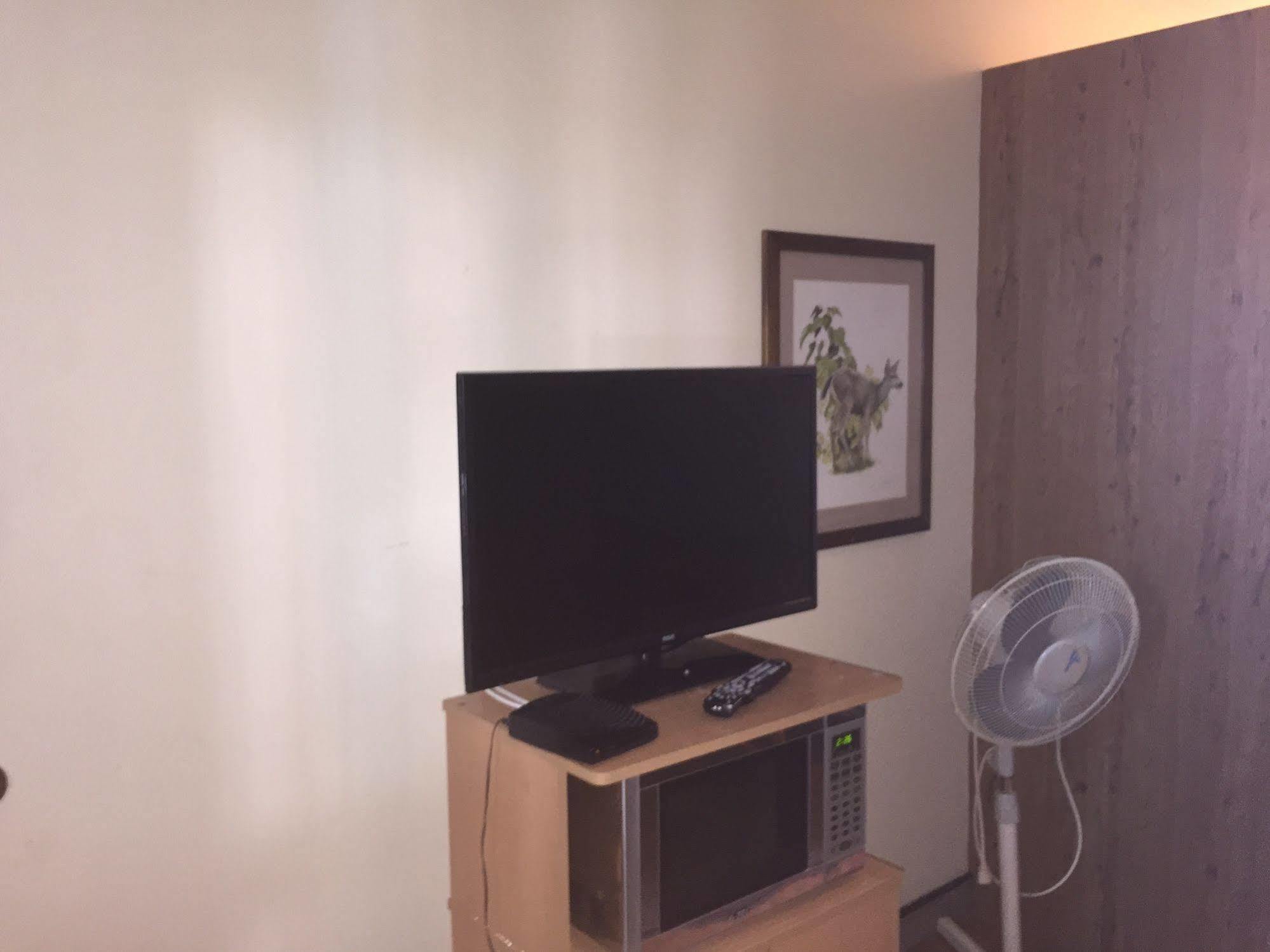 Tyee Village Motel بورت ألبيرني المظهر الخارجي الصورة